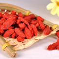 Conventional China Goji berry with high quality